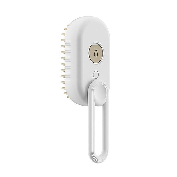 Cat 3 In 1 Electric Spray Hair Brushe