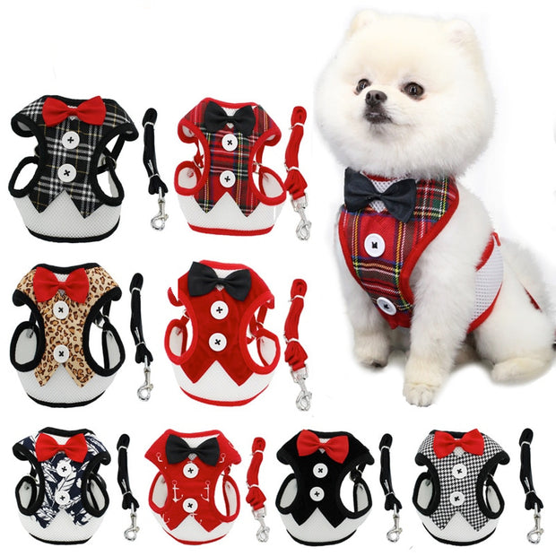 Cat Vest Type Harness