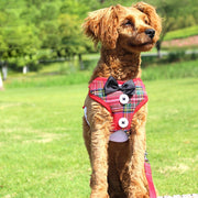 Cat Vest Type Harness