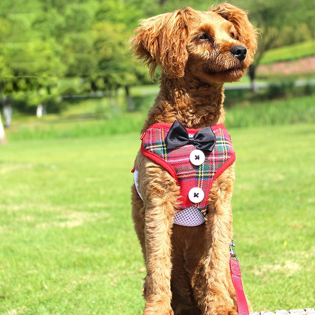 Cat Vest Type Harness