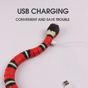 USB Rechargeable Snake Cat Toy