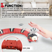 USB Rechargeable Snake Cat Toy