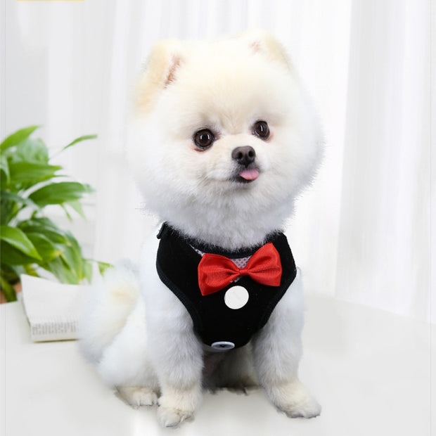 Cat Vest Type Harness