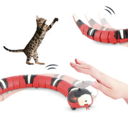 USB Rechargeable Snake Cat Toy