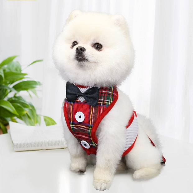 Cat Vest Type Harness